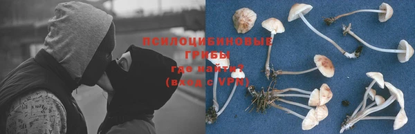марки nbome Лиски