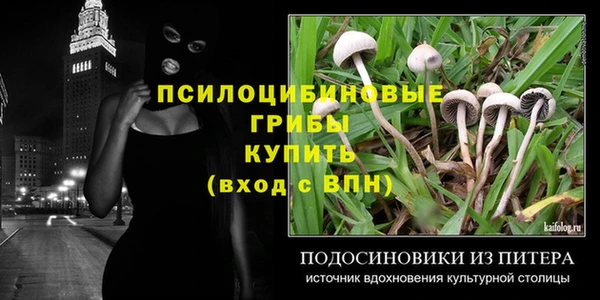 винт Куйбышев