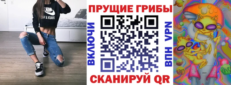 Псилоцибиновые грибы Psilocybe  закладка  Костерёво 