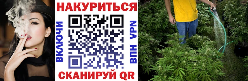 Марихуана THC 21%  где купить наркоту  mega как войти  Костерёво 